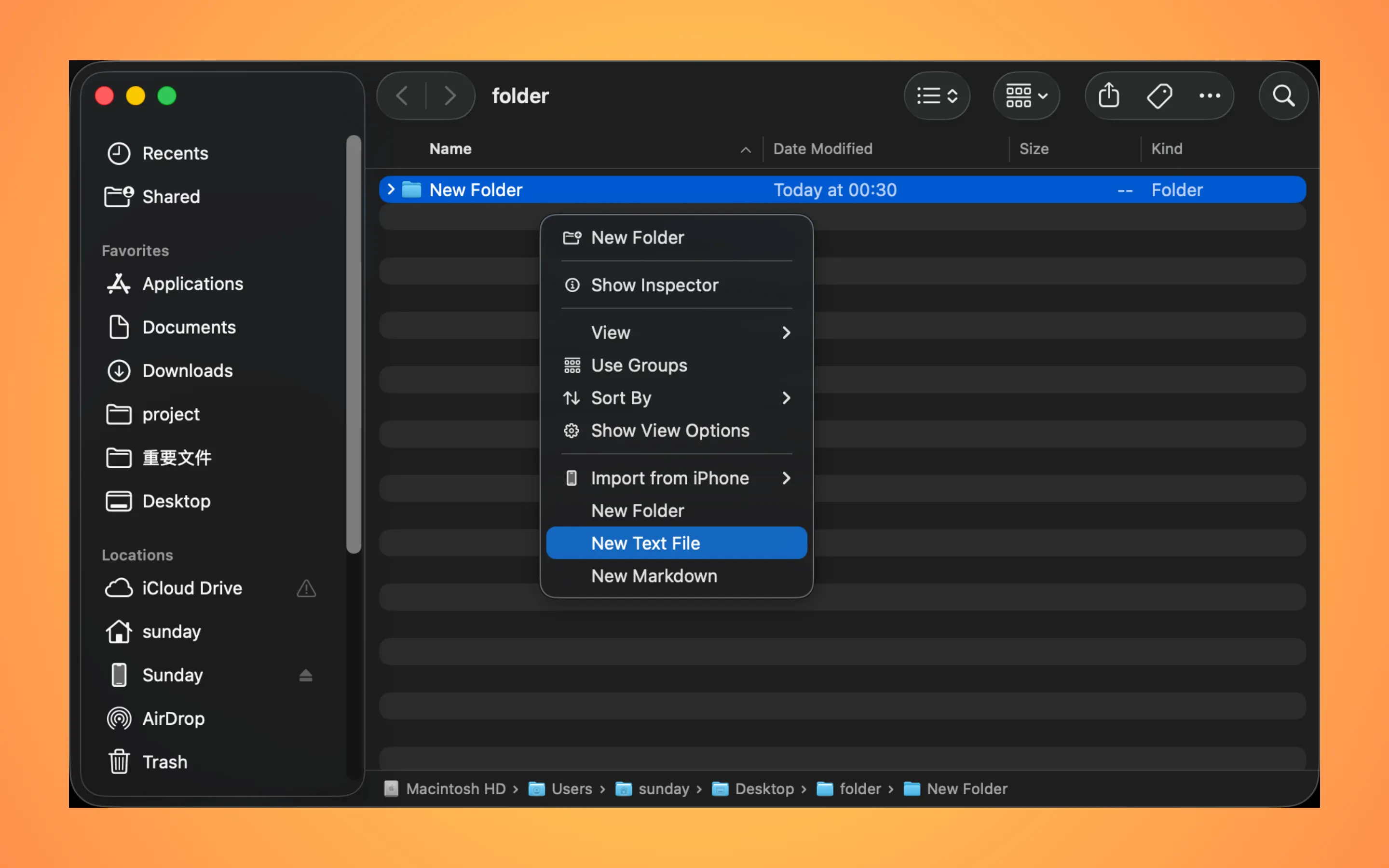 iPocket NewFile screenshot 1